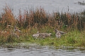 09 10 10_8001_edited-1